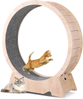 キャットホイール　運動不足 Amazon.co.jp: キャットホイール 猫の車輪 猫 ホイール XL105CM 直径